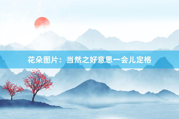 花朵图片：当然之好意思一会儿定格