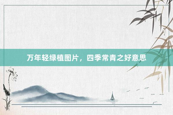 万年轻绿植图片，四季常青之好意思