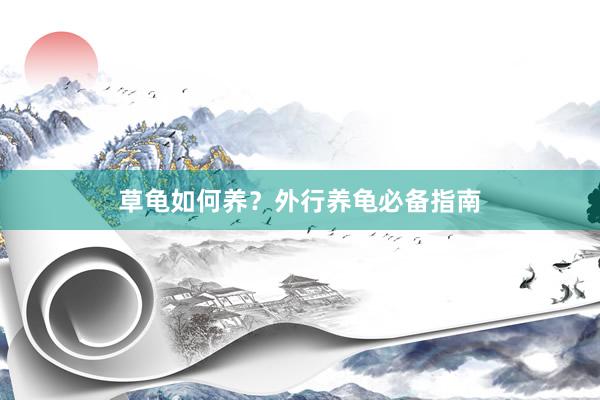 草龟如何养？外行养龟必备指南
