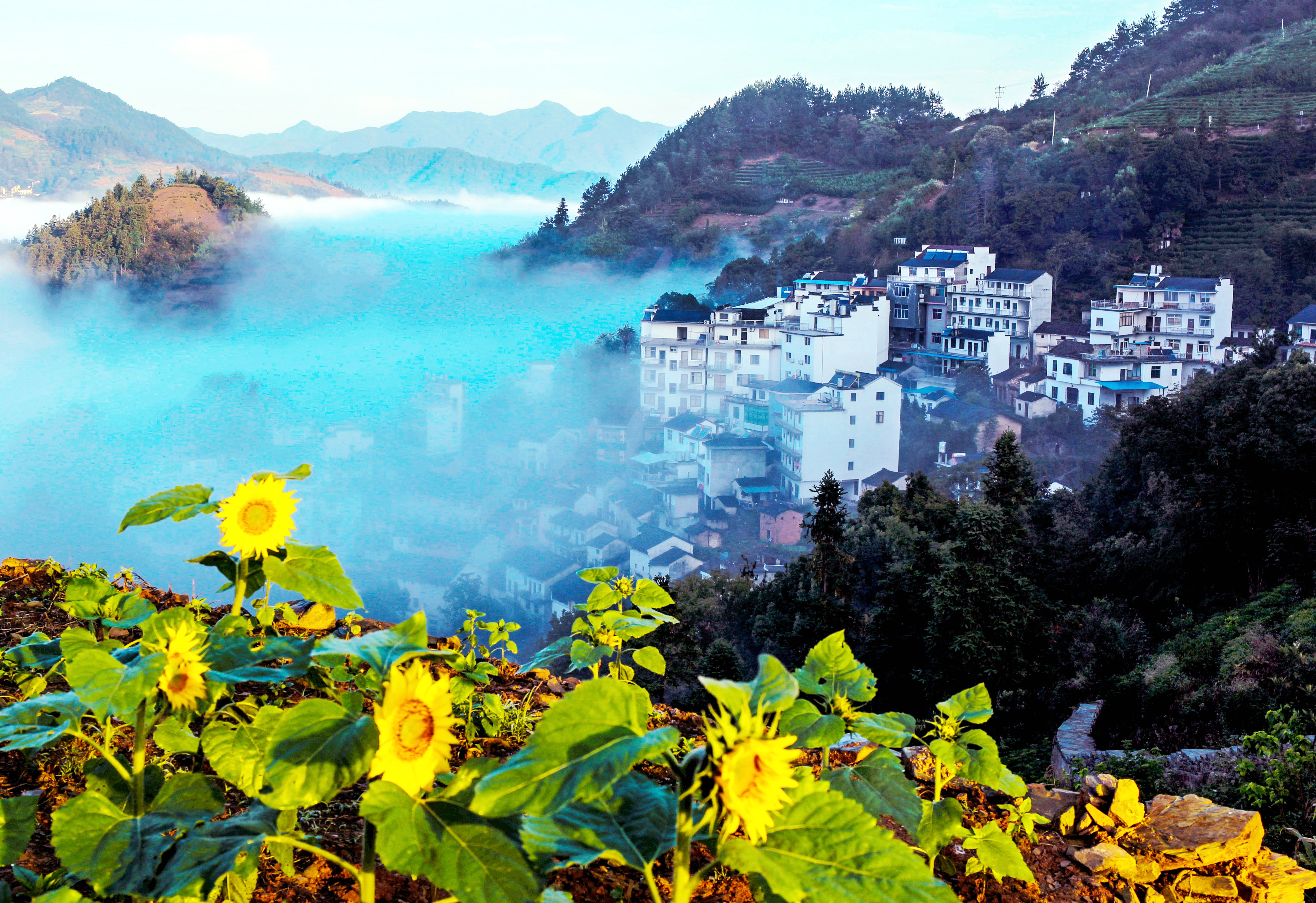 山村的早晨（李海波攝，安徽省巢湖市巢維路56號皖維集團工會,，238002,，電話：13156557292）.jpg